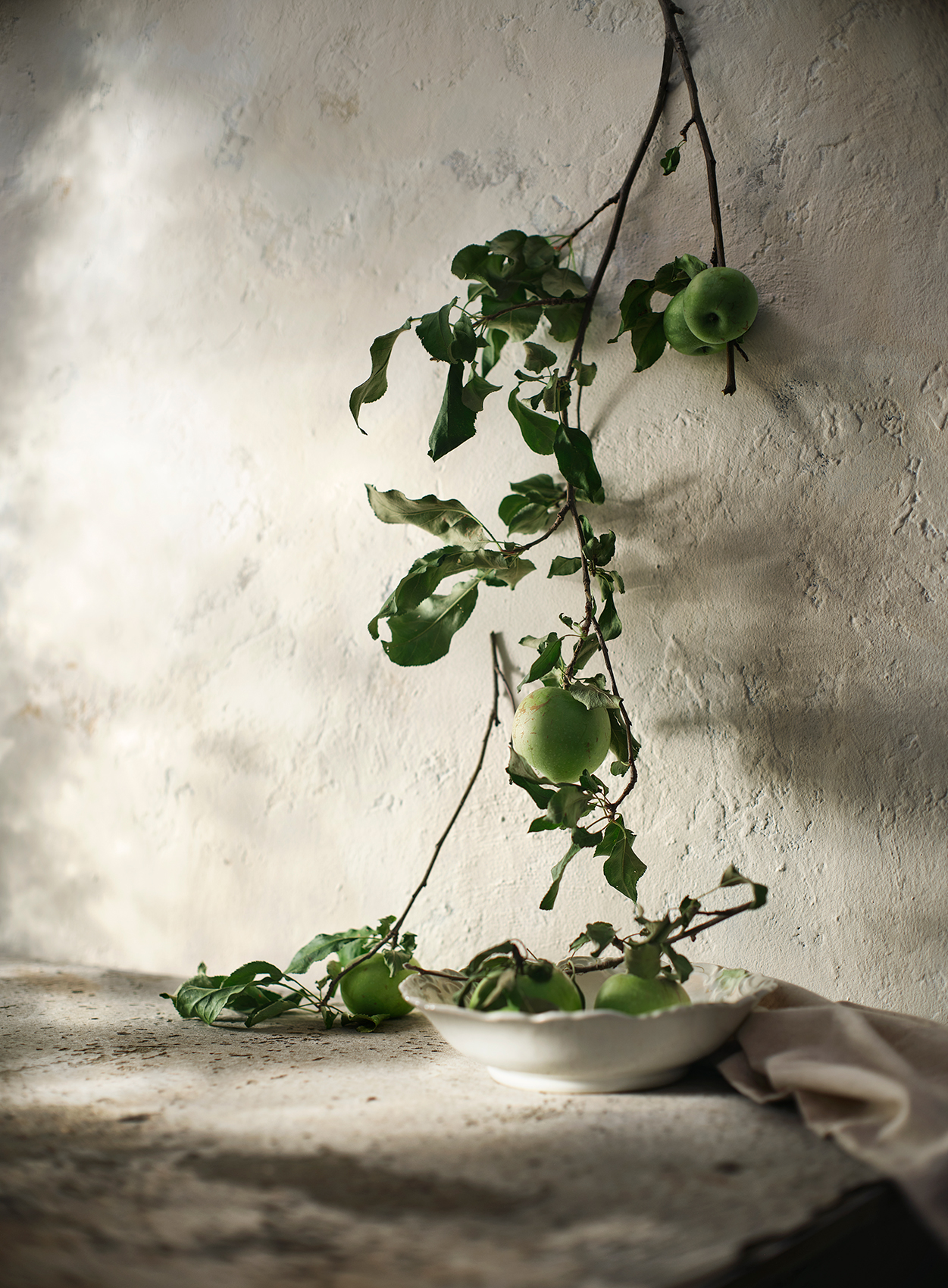 Stilllife_09-